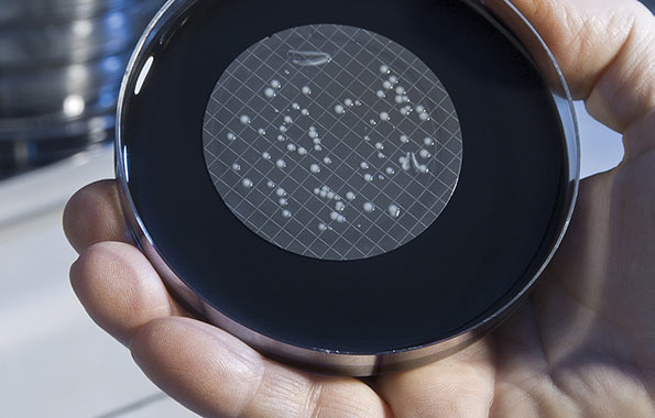 Legionella in cooling water