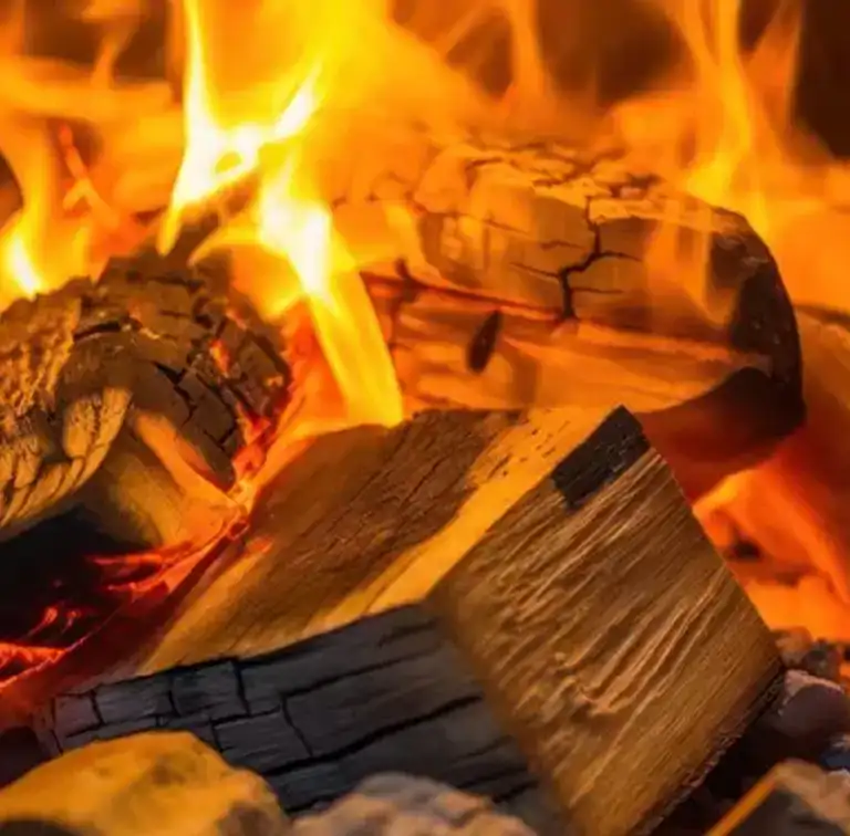 Hier sehen ein Bild wo Holz verbrannt wird im Bereich Analyse für Brennstoffe 