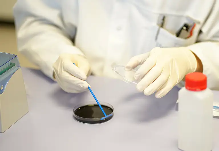 picture legionella testing and investigation